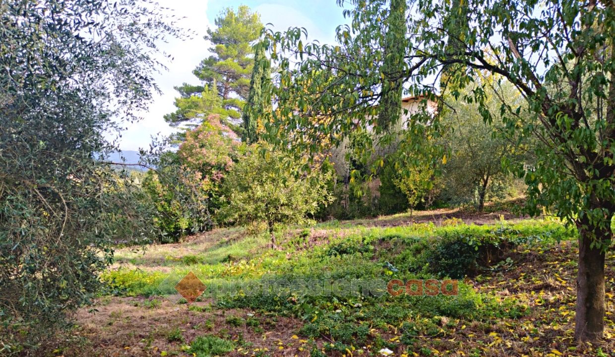 TERRENO EDIFICABILE VENDITA PERUGIA CANNETO