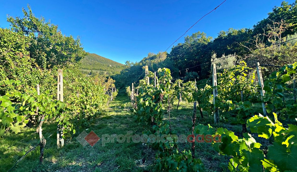 TERRENO AGRICOLO VENDITA CORCIANO CENTRO STORICO