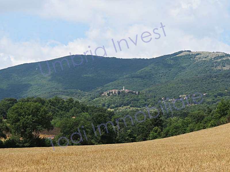 RUSTICO - CASALE VENDITA MONTECCHIO