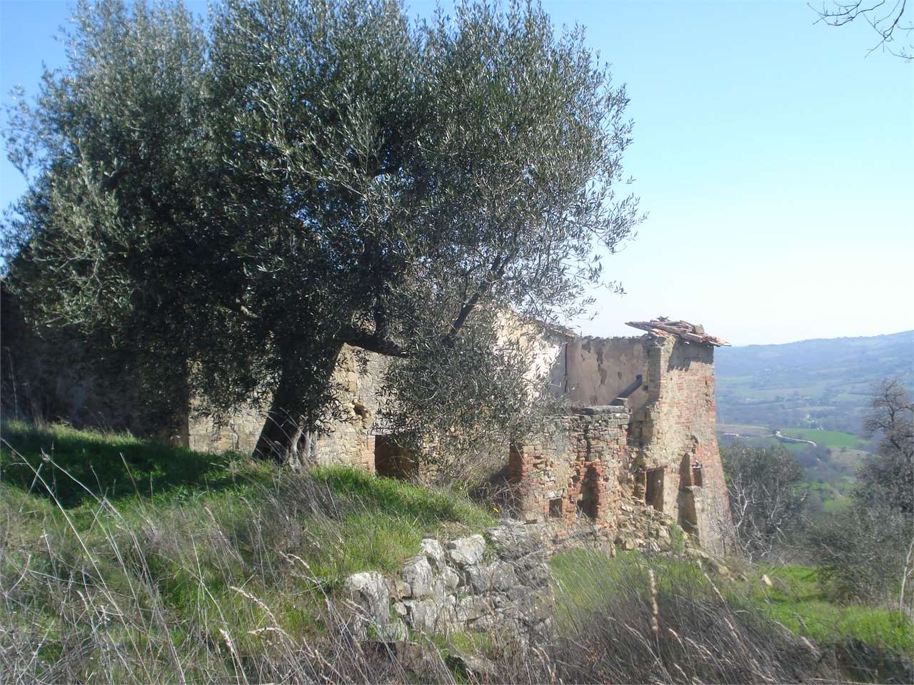 RUSTICO - CASALE VENDITA PIEGARO