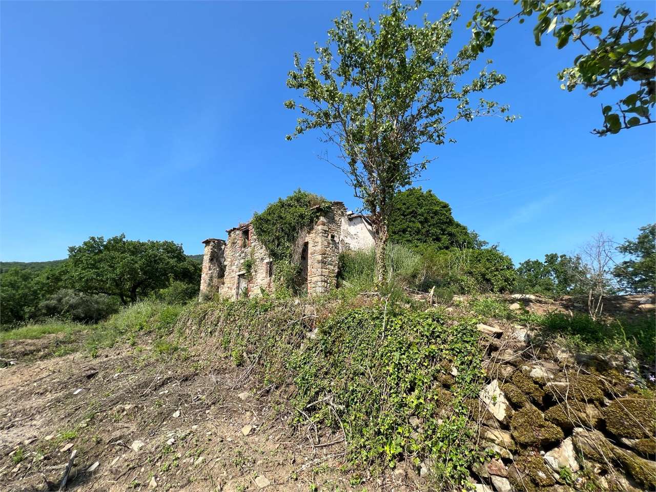 RUSTICO - CASALE VENDITA PIEGARO