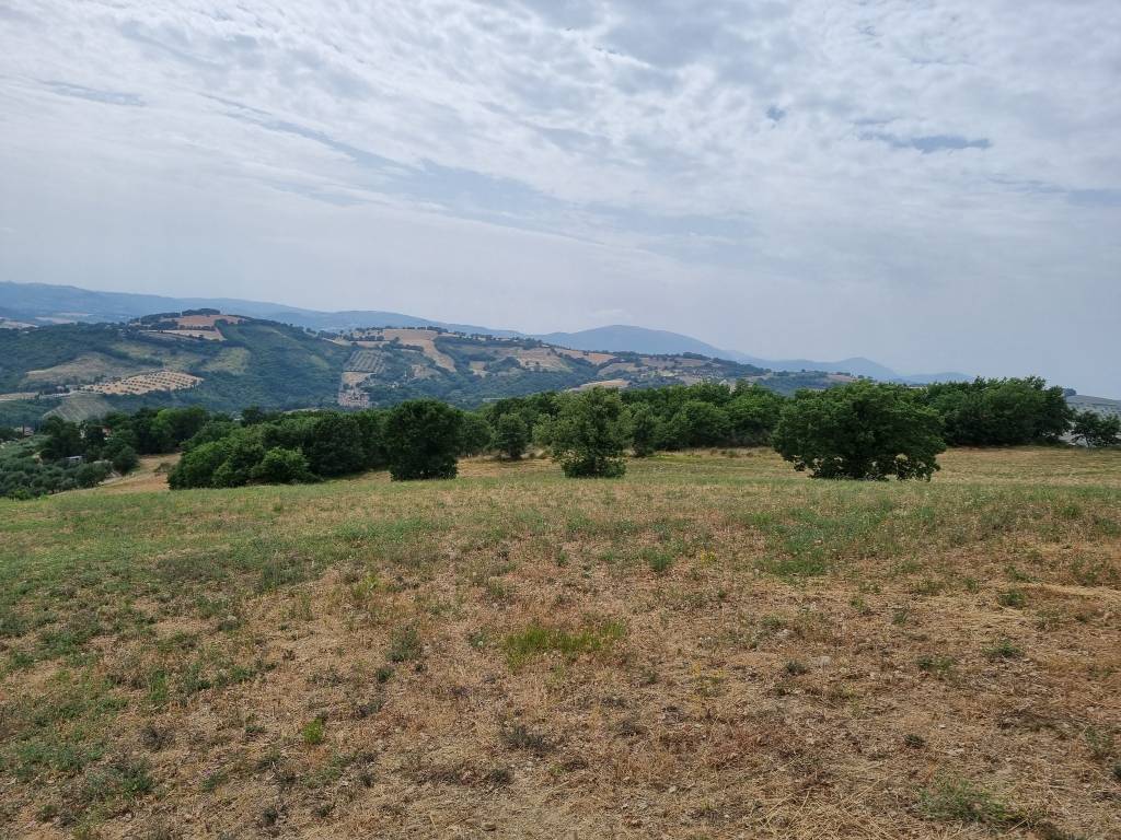 TERRENO AGRICOLO VENDITA PERUGIA PIANELLO