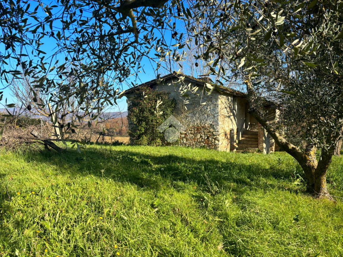 RUSTICO - CASALE VENDITA ACQUASPARTA