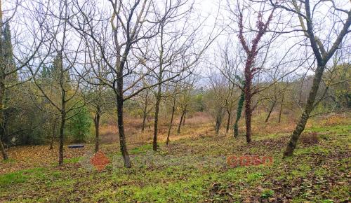 TERRENO AGRICOLO VENDITA PERUGIA MONTELUCE