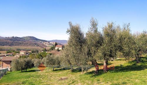 TERRENO EDIFICABILE VENDITA CORCIANO SAN MARIANO