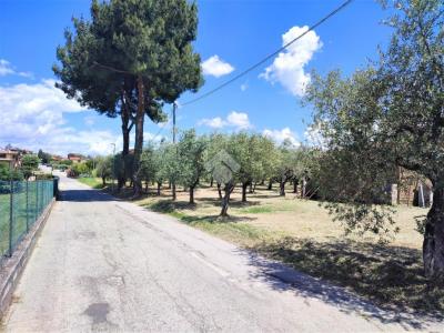 TERRENO EDIFICABILE VENDITA TORGIANO BRUFA