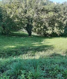 TERRENO EDIFICABILE VENDITA PERUGIA CASAGLIA