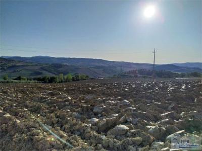 TERRENO EDIFICABILE VENDITA TODI