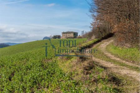 RUSTICO - CASALE VENDITA TODI