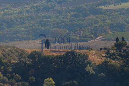 TERRENO EDIFICABILE VENDITA TODI