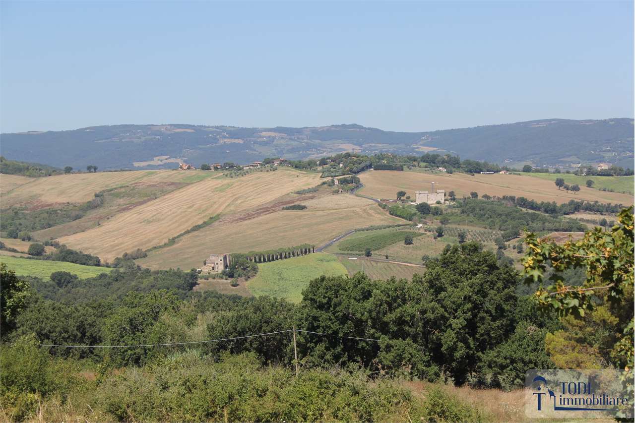 TERRENO EDIFICABILE VENDITA TODI