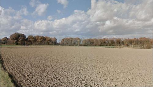 TERRENO AGRICOLO VENDITA MONTE CASTELLO DI VIBIO