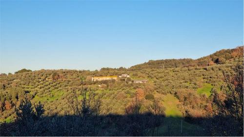 RUSTICO - CASALE VENDITA TORGIANO