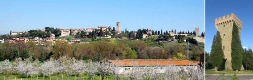 TERRENO EDIFICABILE VENDITA TORGIANO