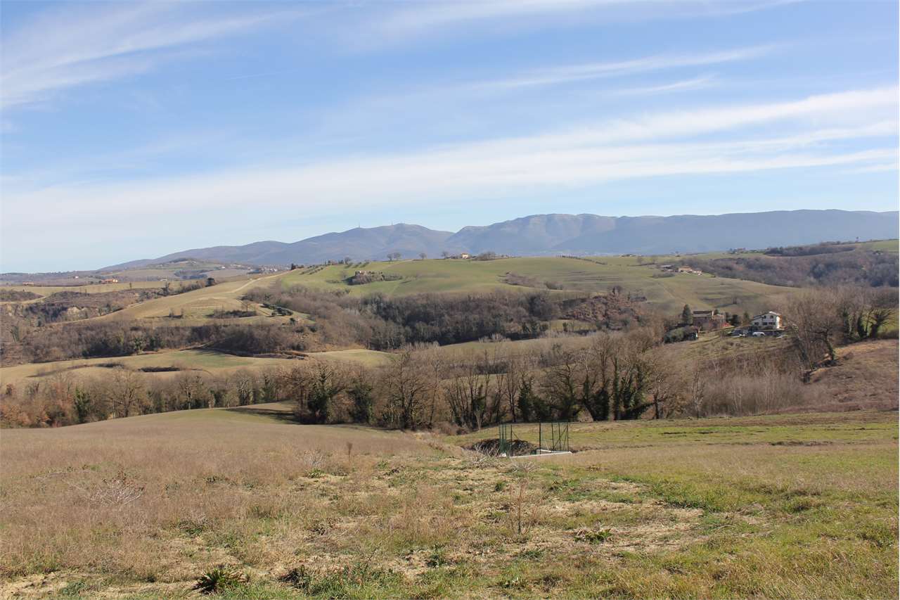 TERRENO AGRICOLO VENDITA TODI