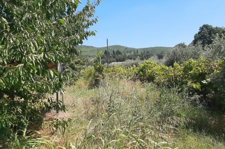 TERRENO EDIFICABILE VENDITA MAGIONE