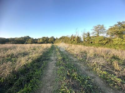 TERRENO AGRICOLO VENDITA MONTECASTRILLI