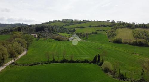 TERRENO AGRICOLO VENDITA PERUGIA PIANELLO