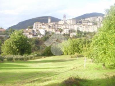 TERRENO EDIFICABILE VENDITA ACQUASPARTA