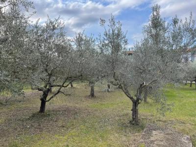 TERRENO EDIFICABILE VENDITA PERUGIA PONTE PATTOLI