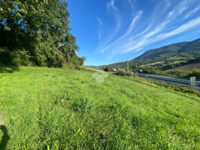 TERRENO AGRICOLO VENDITA SAN GEMINI