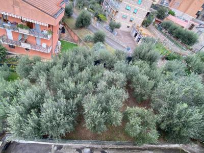 TERRENO AGRICOLO VENDITA PERUGIA LACUGNANO