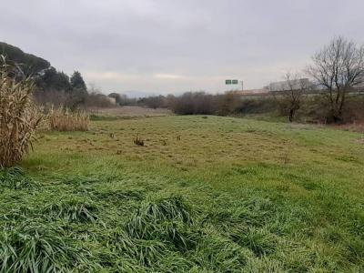 TERRENO AGRICOLO VENDITA MAGIONE