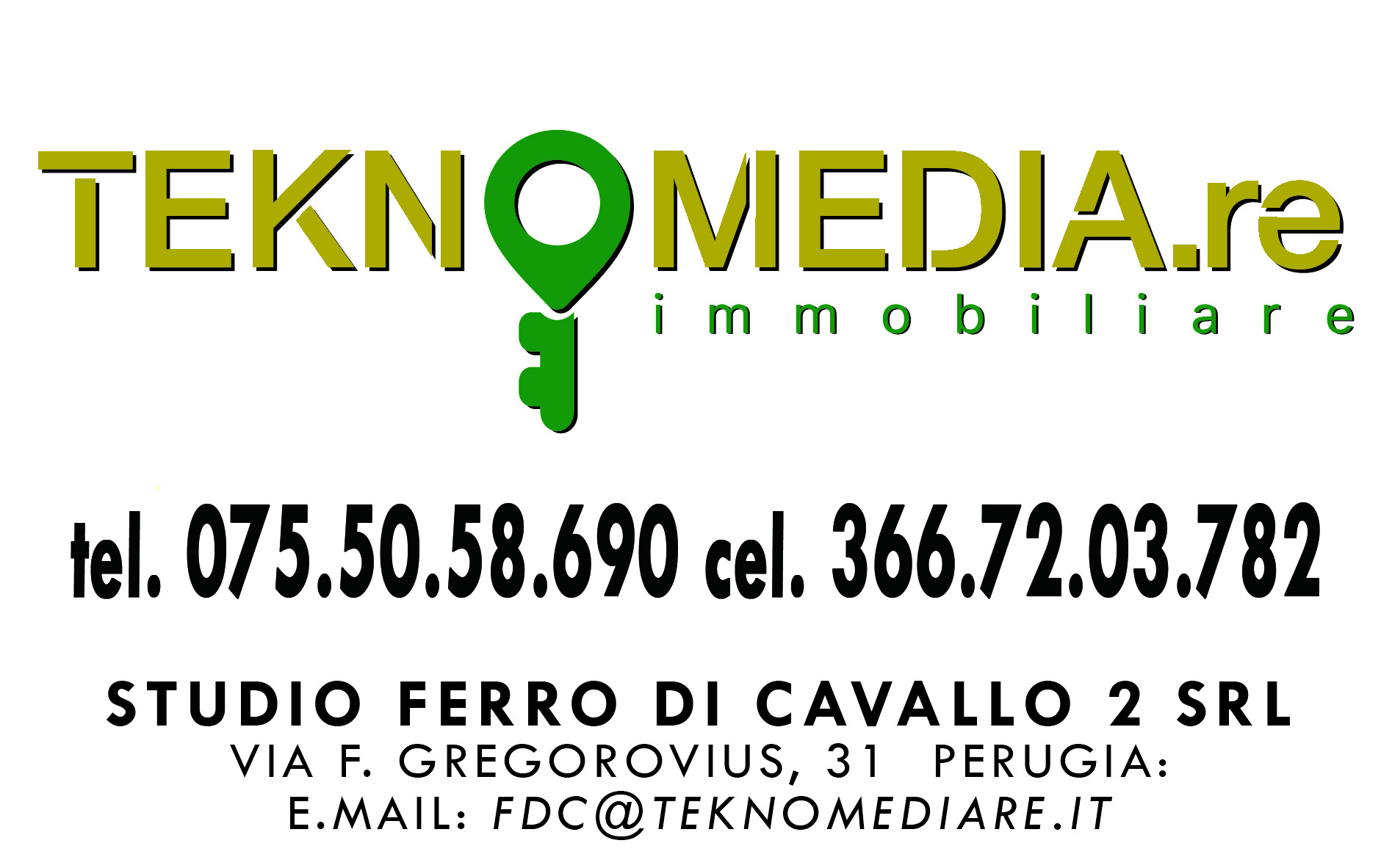 Logo TEKNOMEDIA.RE FERRO DI CAVALLO
