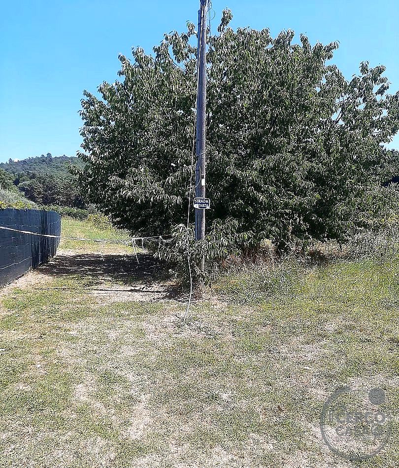 TERRENO EDIFICABILE VENDITA MAGIONE · foto 3