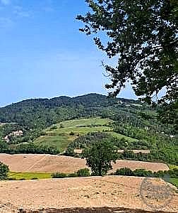 TERRENO EDIFICABILE VENDITA MAGIONE · foto 9
