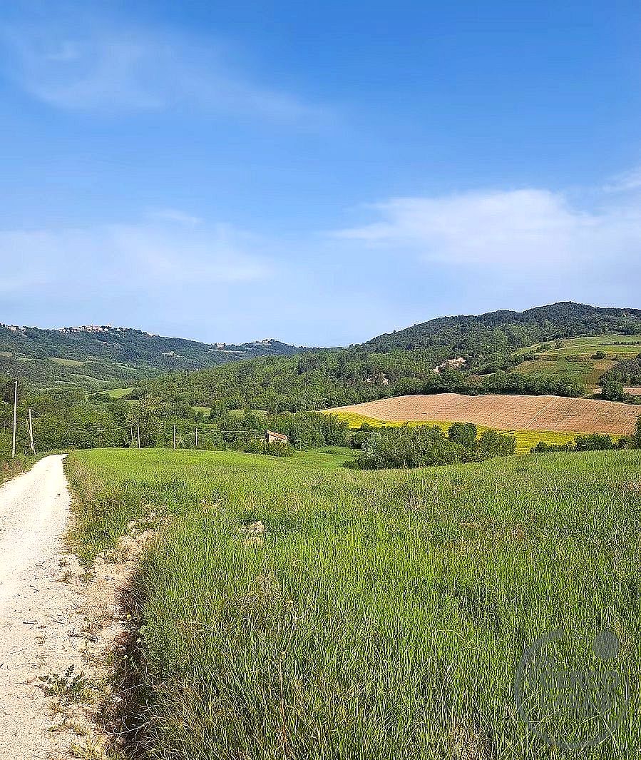 TERRENO AGRICOLO VENDITA GUALDO CATTANEO