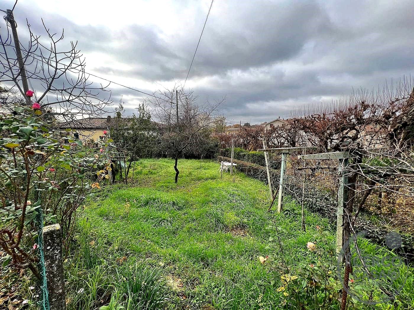 CIELO - TERRA VENDITA AMELIA