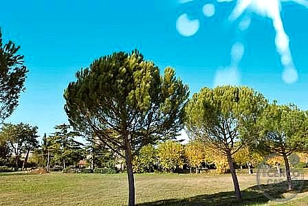 VILLA VENDITA PERUGIA MONTE MALBE · foto 18