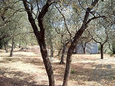 TERRENO EDIFICABILE VENDITA TERNI VALENZA · foto 22