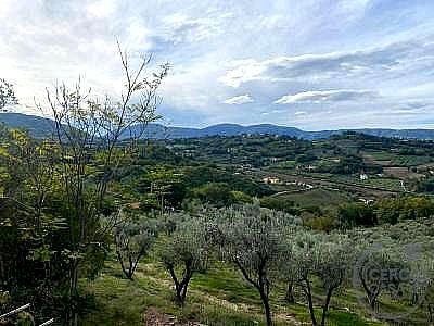 TERRENO EDIFICABILE VENDITA TERNI VALENZA · foto 29