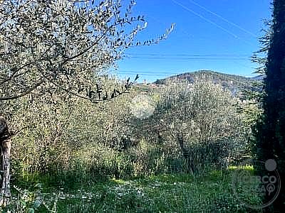 TERRENO EDIFICABILE VENDITA TERNI VALENZA · foto 32