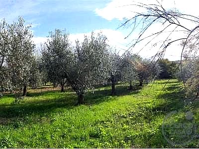 VILLA VENDITA PERUGIA PONTE DELLA PIETRA · foto 3