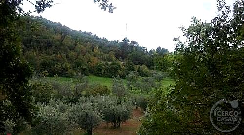 RUSTICO - CASALE VENDITA TERNI SAN ROCCO · foto 7