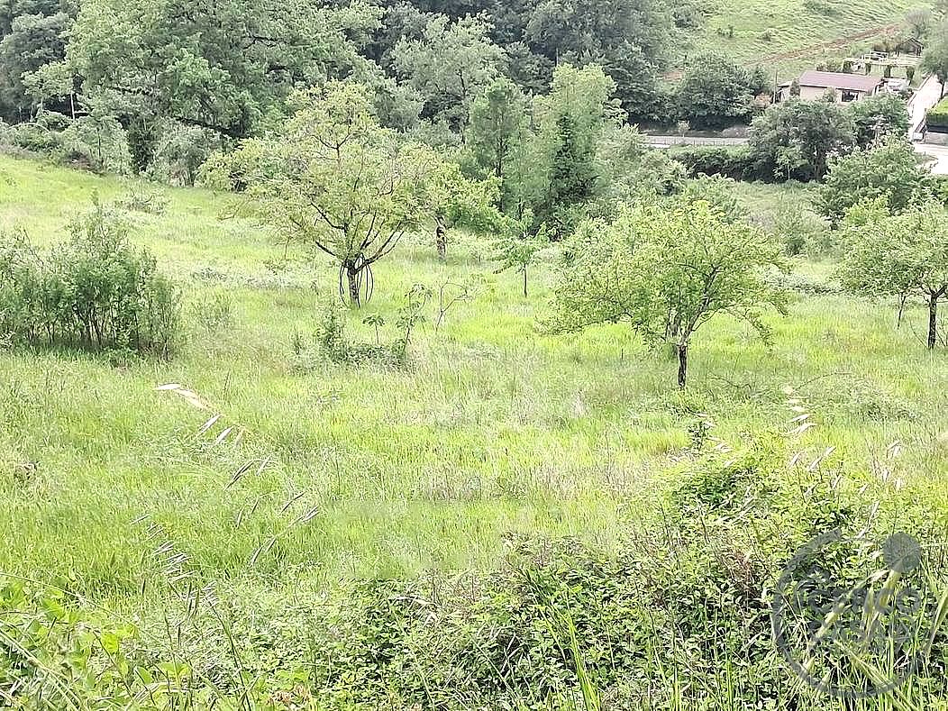TERRENO AGRICOLO VENDITA SPOLETO