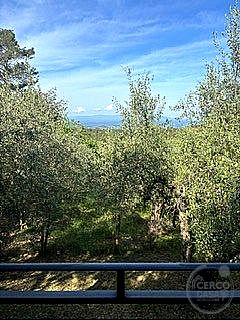 CASA INDIPENDENTE VENDITA NARNI · foto 2