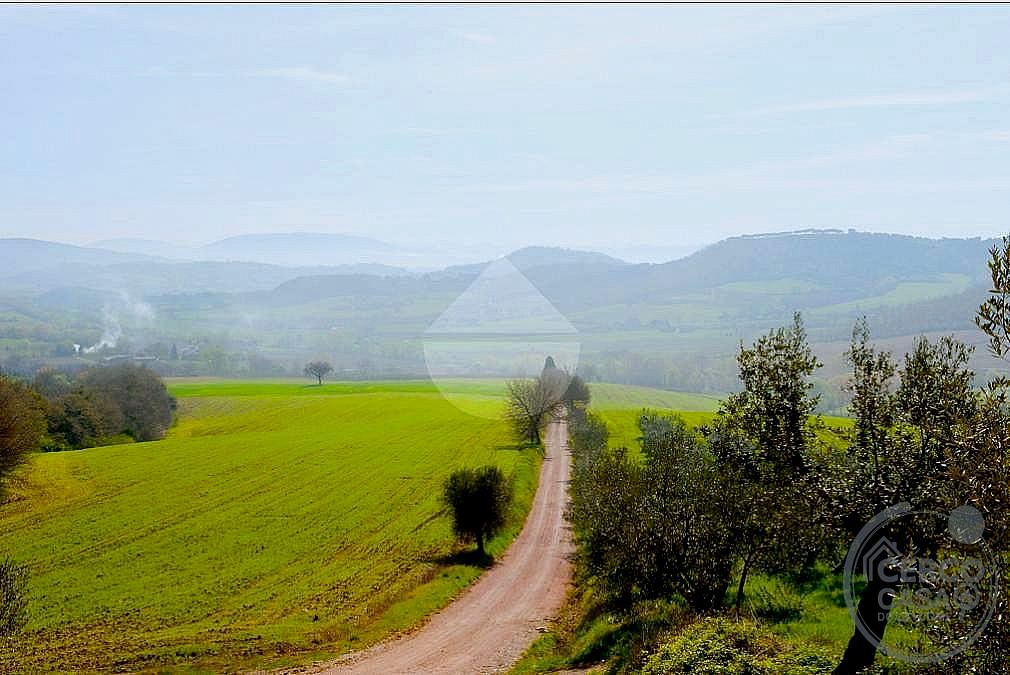 AZIENDA AGRICOLA VENDITA MAGIONE