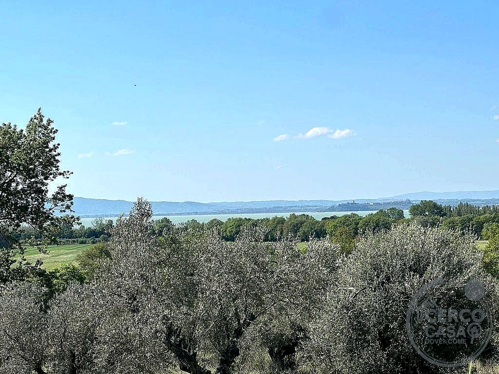 TERRENO AGRICOLO VENDITA TUORO SUL TRASIMENO
