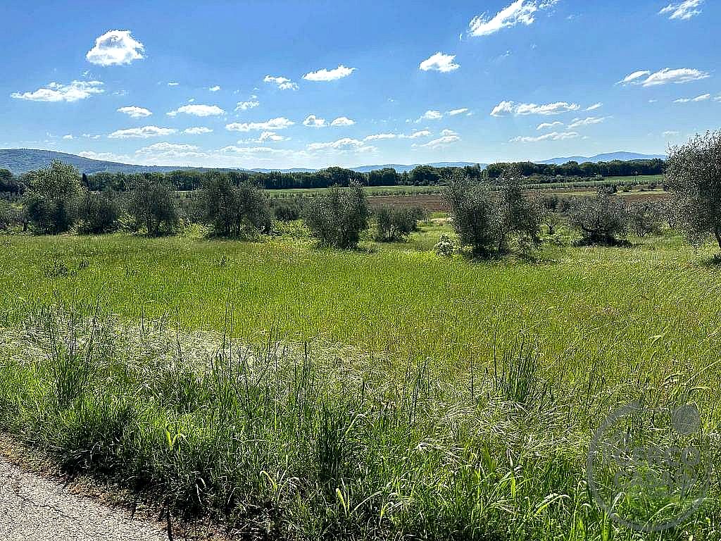 TERRENO AGRICOLO VENDITA TUORO SUL TRASIMENO · foto 2
