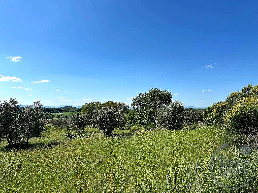 TERRENO AGRICOLO VENDITA TUORO SUL TRASIMENO · foto 3