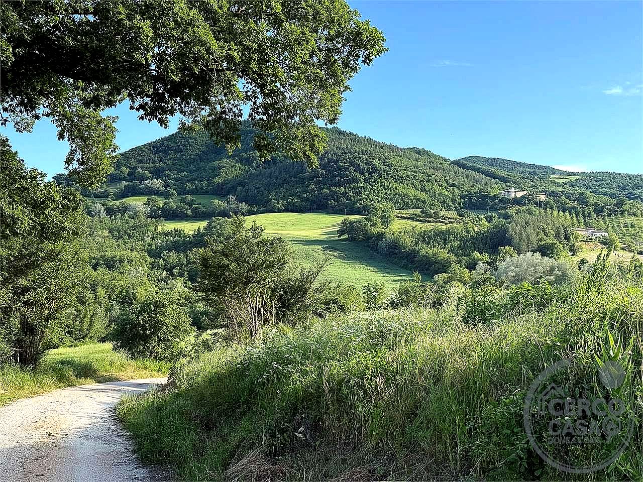 AZIENDA AGRICOLA VENDITA NOCERA UMBRA · foto 18
