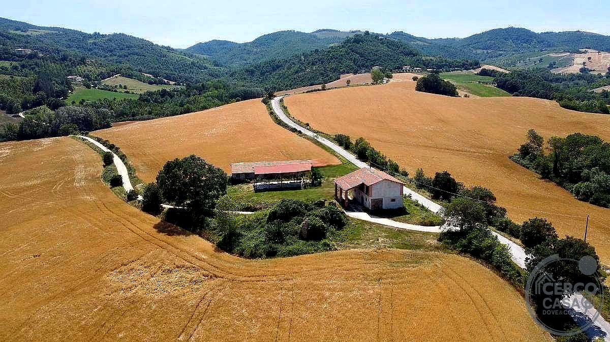AZIENDA AGRICOLA VENDITA NOCERA UMBRA · foto 9