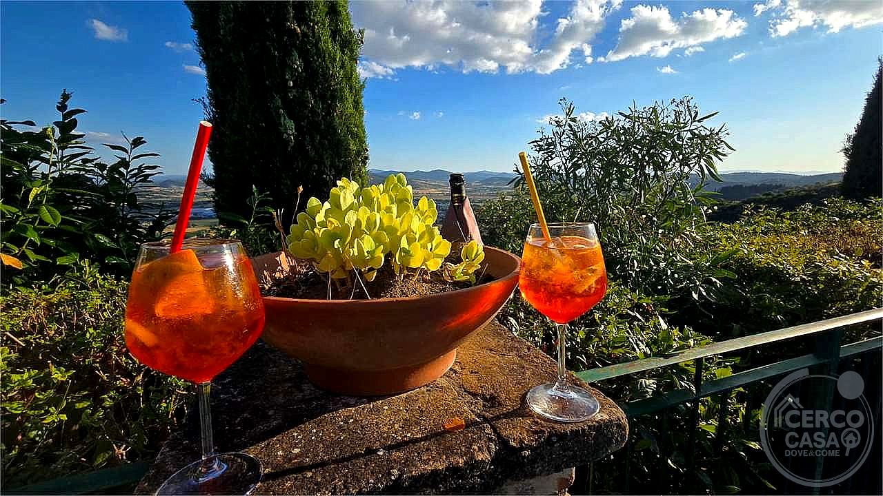 AZIENDA AGRICOLA VENDITA MAGIONE · foto 14