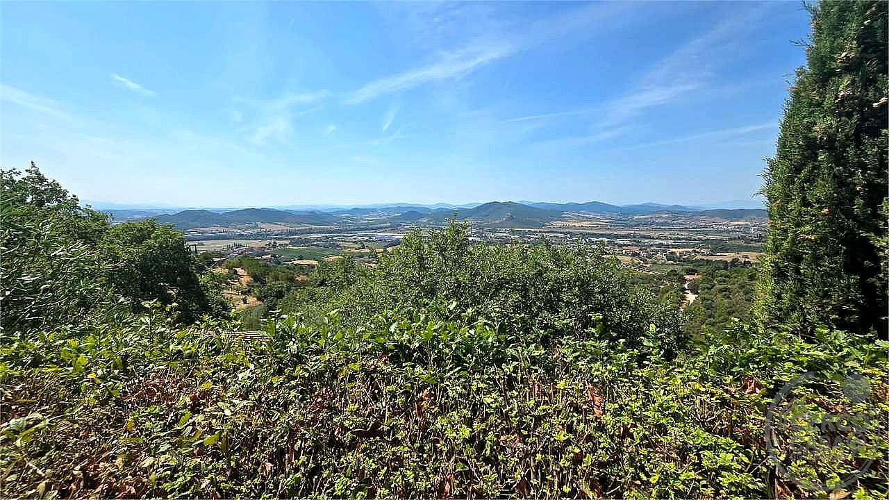 AZIENDA AGRICOLA VENDITA MAGIONE · foto 17