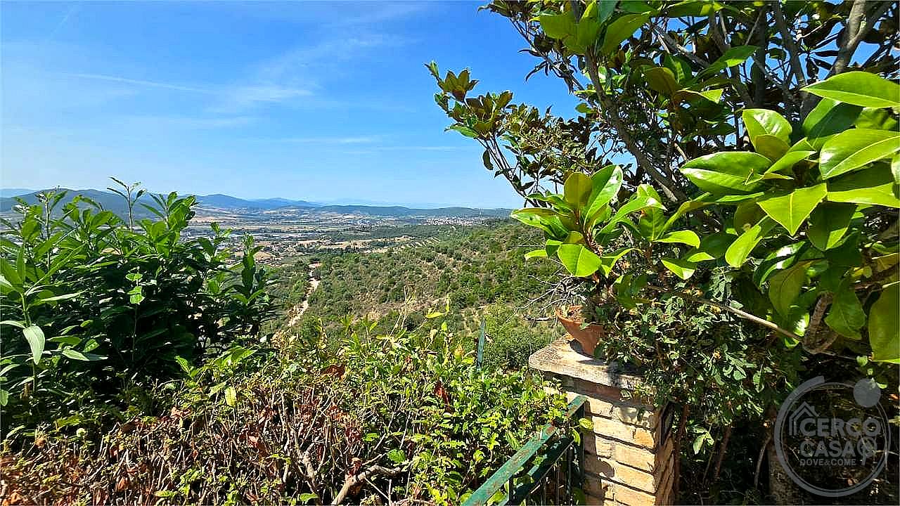 AZIENDA AGRICOLA VENDITA MAGIONE · foto 21