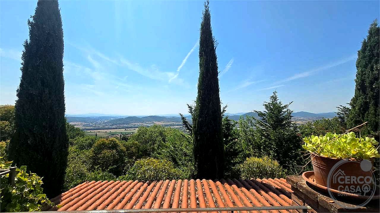 AZIENDA AGRICOLA VENDITA MAGIONE · foto 22